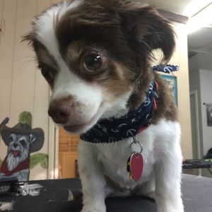 Meet your Posher, Christine